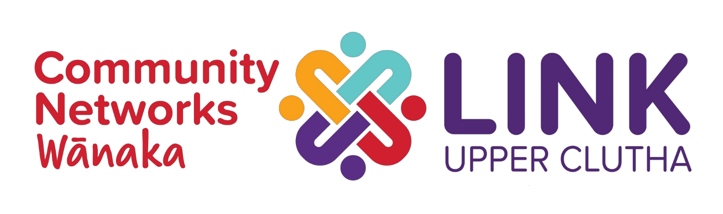 CN-LINK dual logo no background - use this one mostly